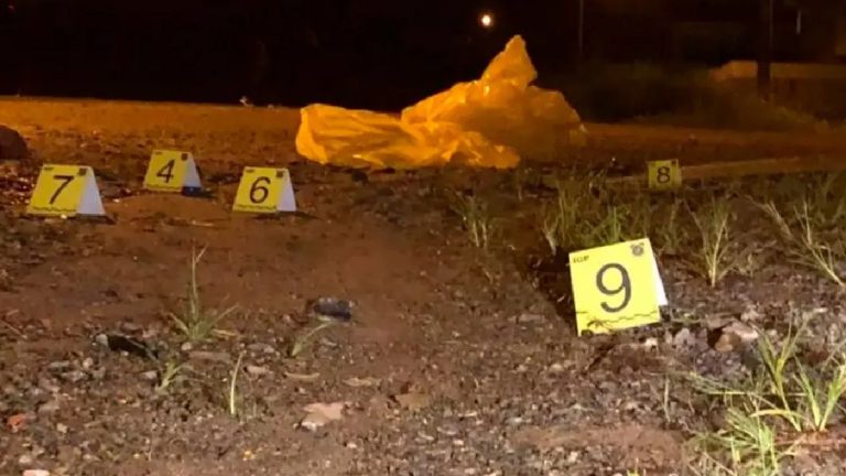 c033110a-new-project-1