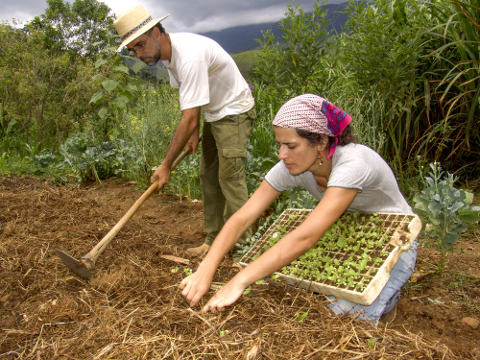 29453dc4662f27b191f297ab00dc00a0